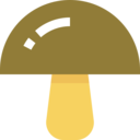 food,food and restaurant,nature,farming and gardening,mushroom,Muscaria,Fungi,mushrooms