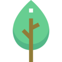 weather,nature,plant,botanical,natural,leaf,herbs,leaves,garden,spa