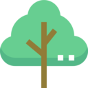 ecology and environment,ecology,nature,botanical,tree,gardening,garden,yard,fruit tree