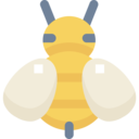 animals,nature,bee,animal kingdom,animal,insect,fly