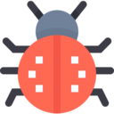 animals,ecology and environment,bug,nature,animal kingdom,insect,ladybug,Ladybird