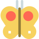 animals,ecology and environment,nature,insect,entomology,butterfly,moths