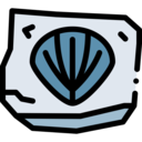 miscellaneous,shell,extinct,archeology,fossil,Paleontology