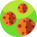 food,food and restaurant,dessert,baker,cookie,biscuit,bakery,cookies