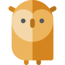 animals,bird,owl,hunter ok 