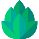 food and restaurant,organic,nature,beer,plant,hop ok 