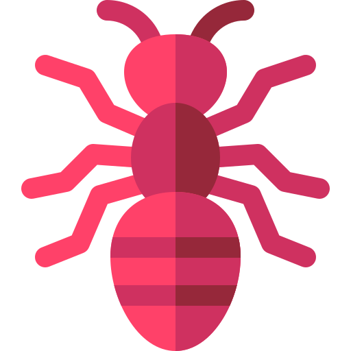Ant