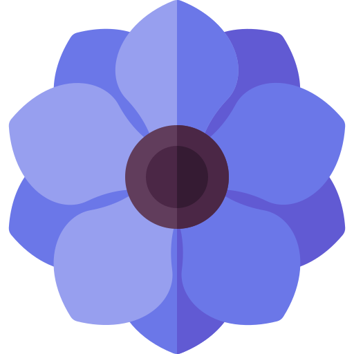 Anemone