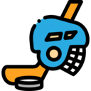sports and competition,equipment,sportive,helmet,hockey stick,puck,hockey,hockey sticks