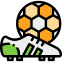 shoes,sports and competition,game,equipment,soccer,team sport,football