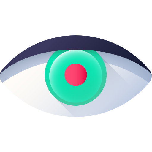Vision