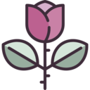nature,botanical,garden,flower,blossom,rose