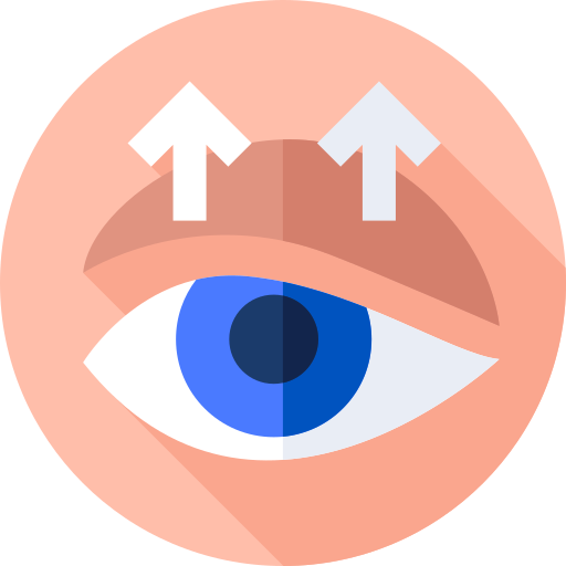 Eyelid