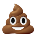 Pile of Poo ok 
