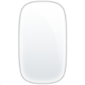 Computer Mouse ok 