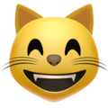 Grinning Cat with Smiling Eyes ok 