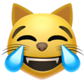 Cat with Tears of Joy ok 