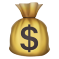 Money Bag ok 