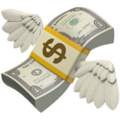 Money with Wings ok 