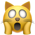 Weary Cat ok 