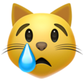 Crying Cat ok 