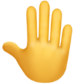 Raised Back of Hand ok 