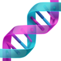 DNA ok 