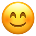 Smiling Face with Smiling Eyes ok 