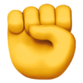 Raised Fist ok 