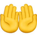 Palms Up Together ok 