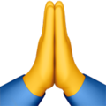 Folded Hands ok 