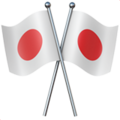 Crossed Flags ok 