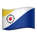 Flag: Caribbean Netherlands ok 