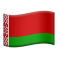 Flag: Belarus ok 