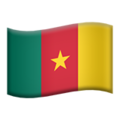 Flag: Cameroon ok 