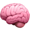 Brain ok 