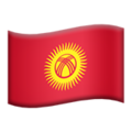 Flag: Kyrgyzstan ok 