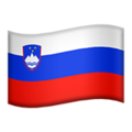 Flag: Slovenia ok 