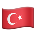 Flag: Turkey ok 