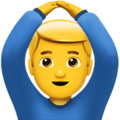 Man Gesturing OK ok 