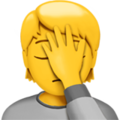 Person Facepalming ok 