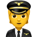 Pilot ok 