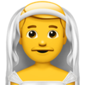 Man with Veil ok 