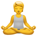 Person in Lotus Position ok 