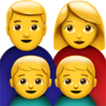 Family: Man, Woman, Boy, Boy ok 