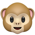 Monkey Face ok 