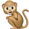 Monkey ok 
