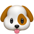 Dog Face ok 
