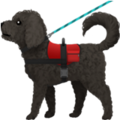 Service Dog ok 