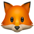Fox ok 